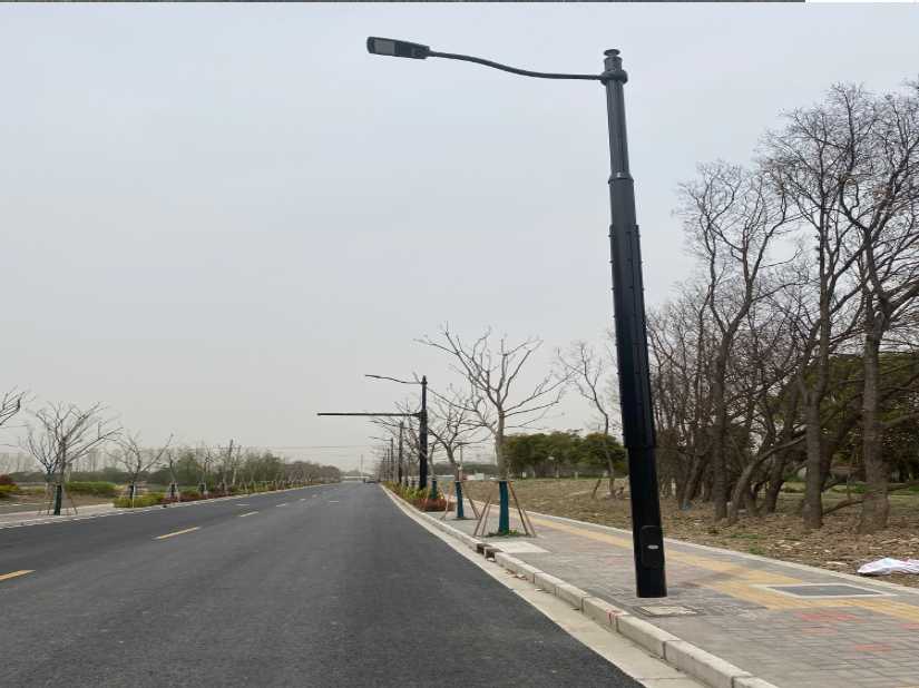 永兴县上海综合杆 太阳能路灯工程